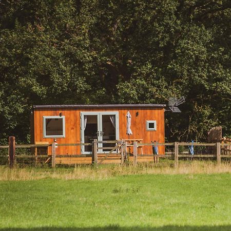 The Hideaway At Hiddenwood Glamping Otel Corsley Dış mekan fotoğraf